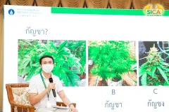 กิจกรรมสัปดาห์วันมะเร็งโลก ประจำปี 2566 สถานวิทยามะเร็งศิริราช คณะแพทยศาสตร์ศิริราชพยาบาล มหาวิทยาลัยมหิดล
