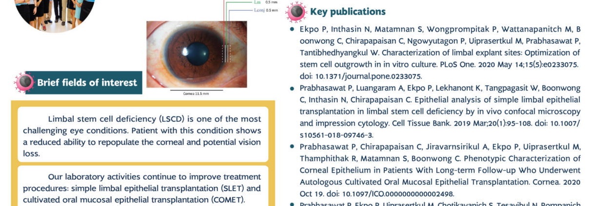 Limbal stem cells for corneal epithelial restoration
