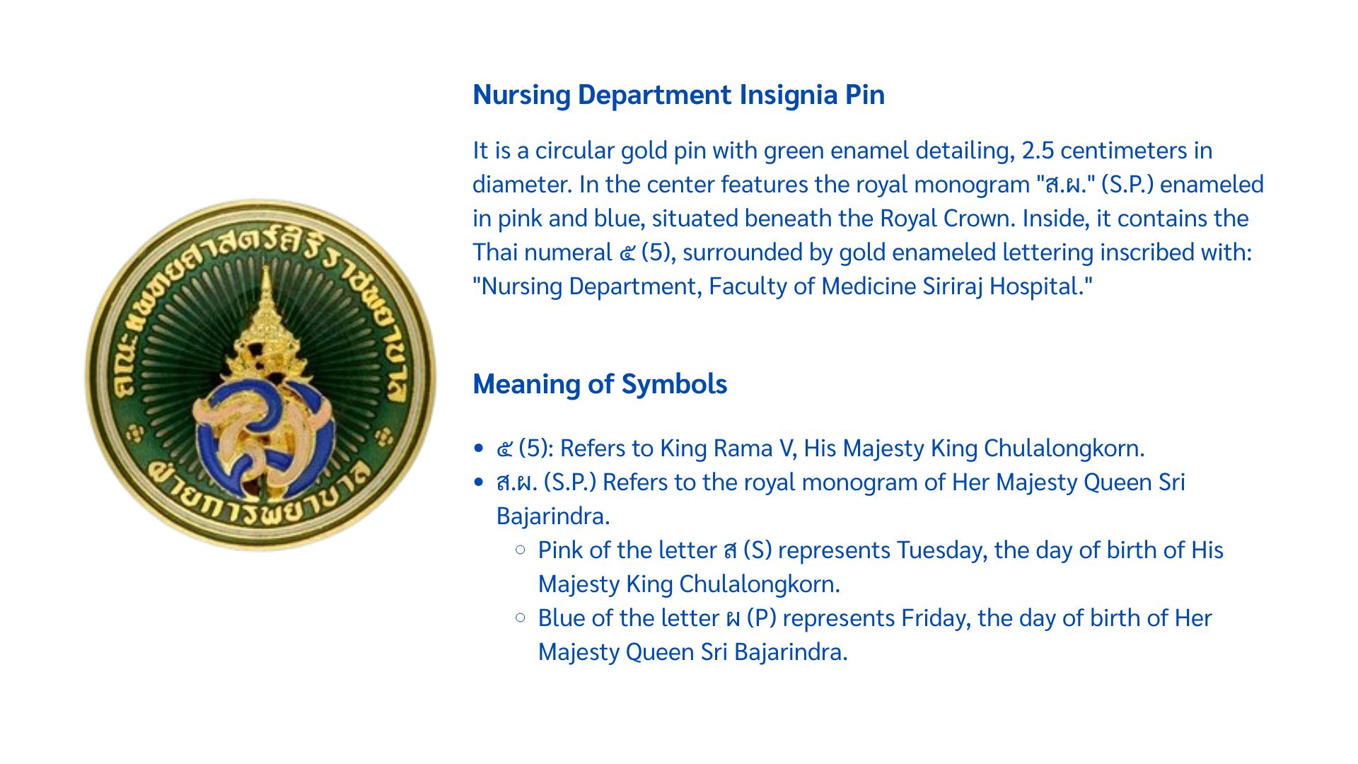 Nursing Department Insignia Pin 2026