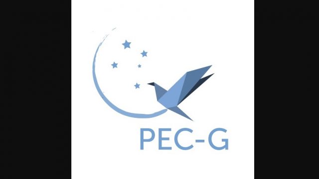 Brazilian Government’s Exchange Program for Undergraduate Students – PEC-G 2018