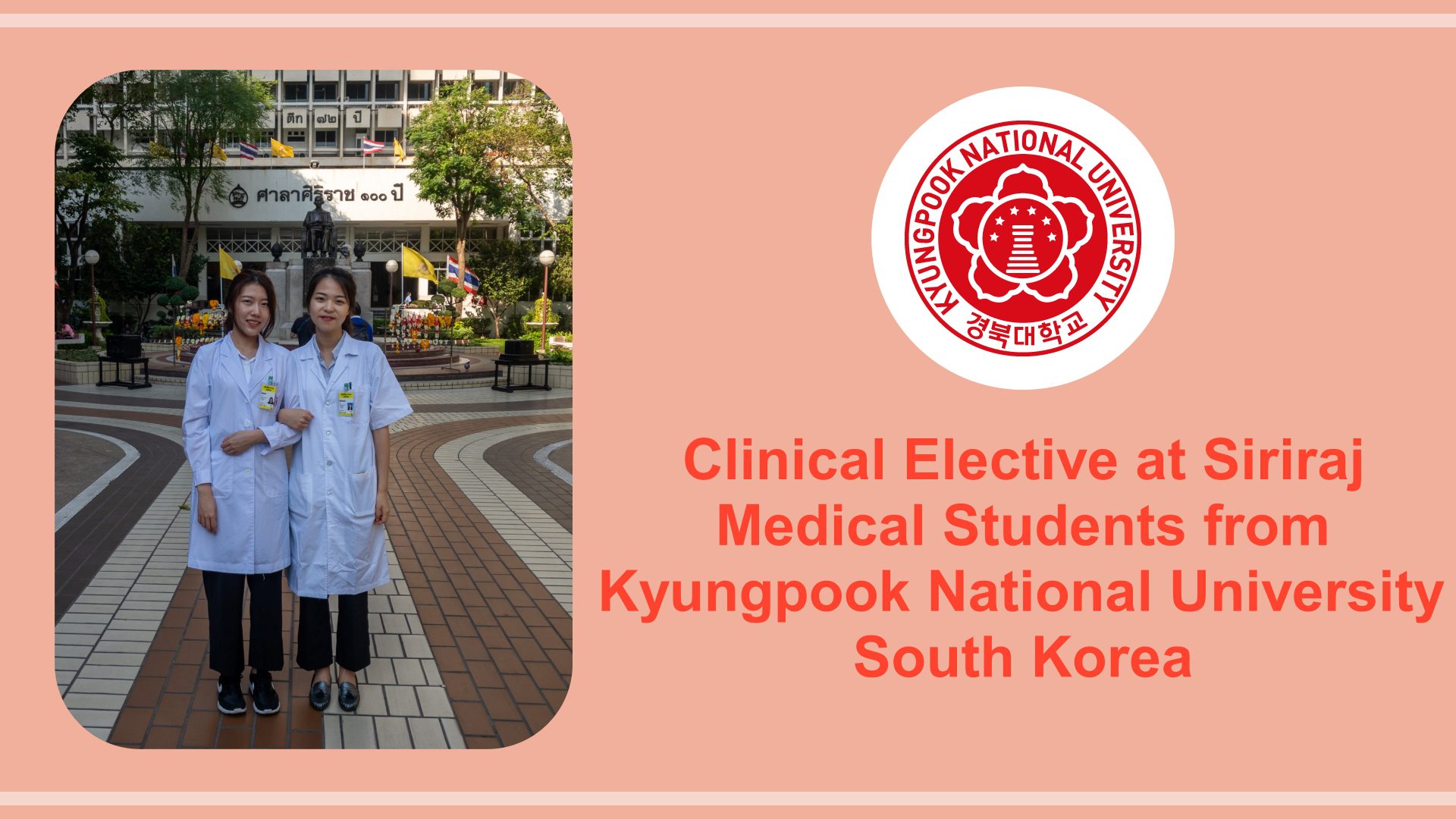 Clinical Elective for Medical Students from KNU, South Korea