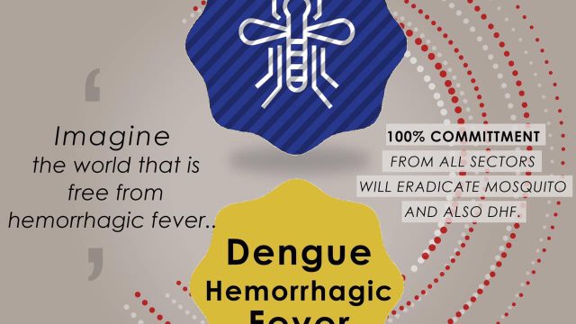 Dengue Hemorrhagic Fever – Overview and Recommendation