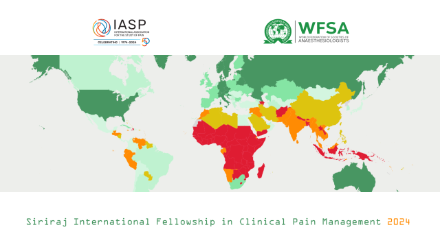 Call For Application “Siriraj International Fellowship Training in Clinical Pain Management 2024”