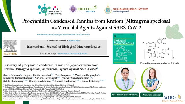 Procyanidin Condensed Tannins from Kratom (Mitragyna speciosa) as Virucidal Agents Against SARS-CoV-2