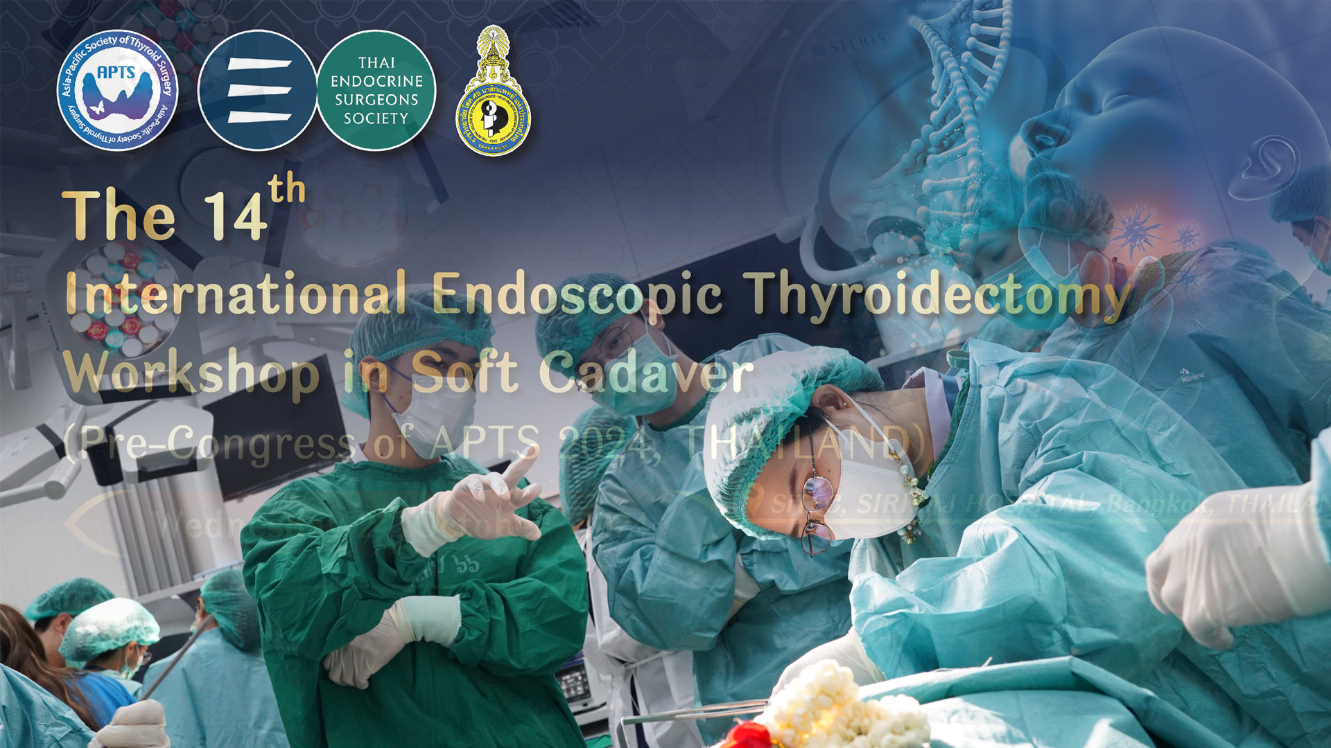 The 14th International Endoscopic Thyroidectomy Workshop in Soft Cadaver