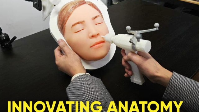 Innovating Anatomy Learning Through Games and VR