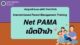 วิธีปฏิบัติที่เป็นเลิศ (Best practice): Internet-based Parent Management Training: Net PAMA; เน็ตป๊าม้า