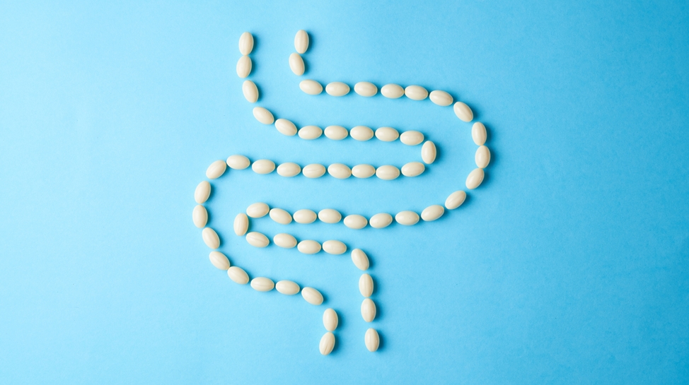 Probiotic and lactobacillus supplement pills forming a human intestine.